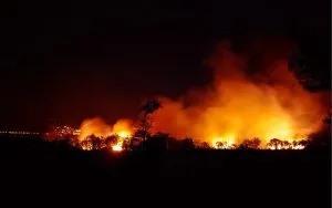 Дванаесет лица загинаа во шумски пожар во Шпанија